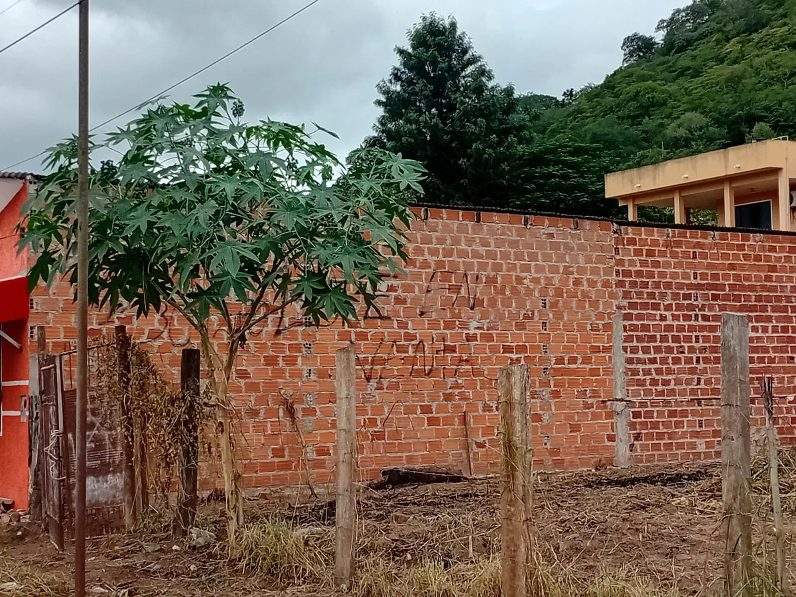Terreno en Venta. - Foto 3 en Santa Cruz